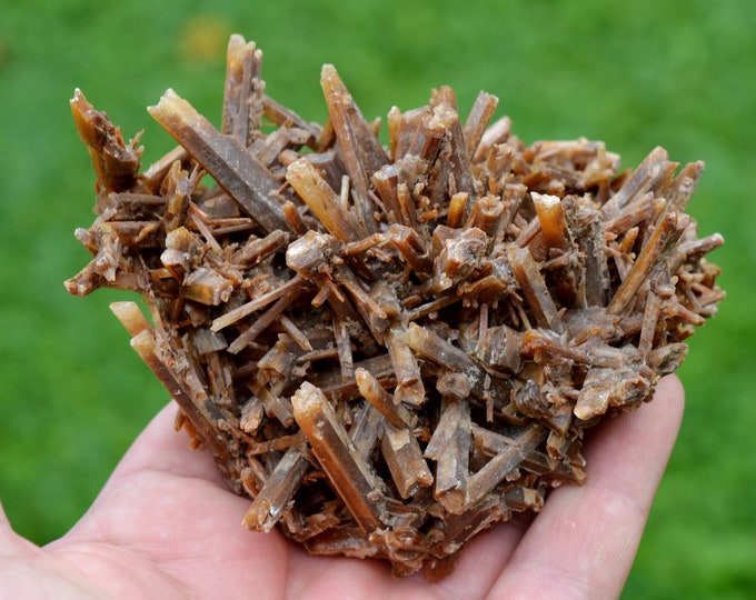 Neoformation gypsum 191 grams - Nancy, Meurthe-et-Moselle, Grand Est, France
