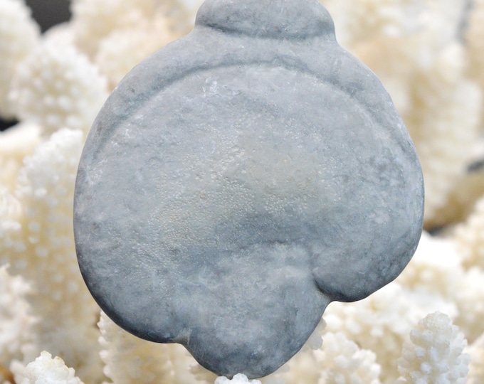 Fairy Stone - 60 grams - Harricana River, Quebec, Canada