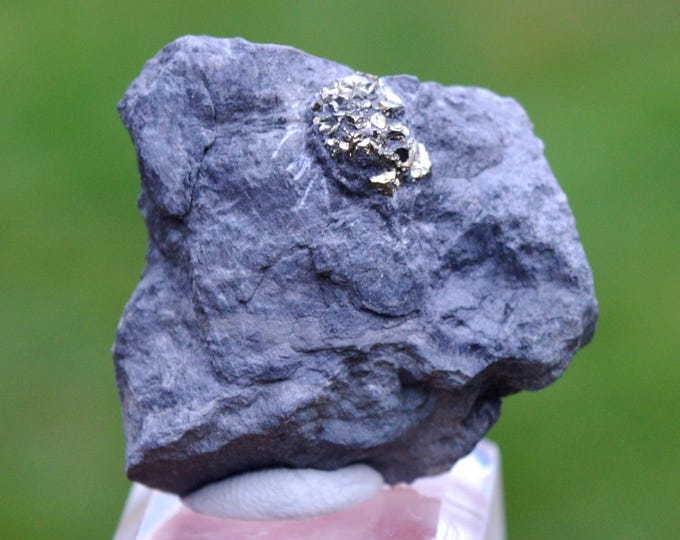 Pyrite 20 grams - Lompret quarry, Lompret, Chimay, Hainaut, Wallonia, Belgium