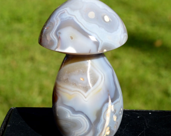 Mushroom - Agate 676 grams - Madagascar