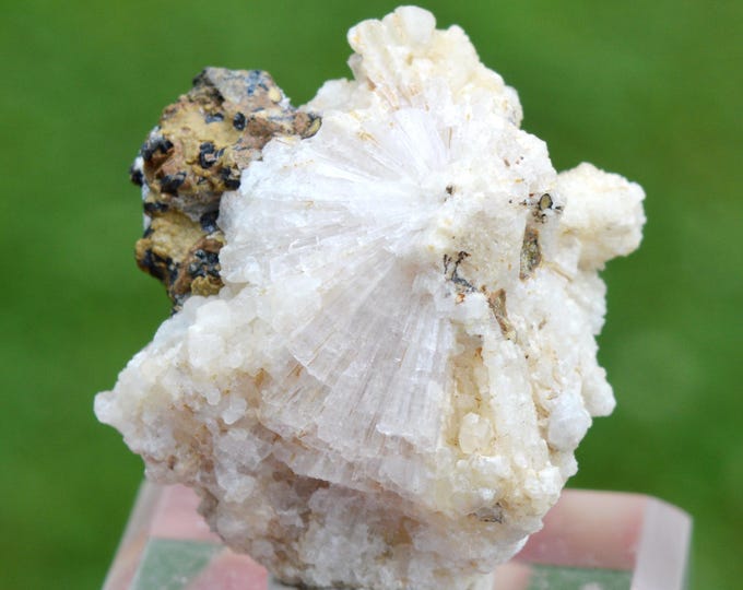 Aragonite 27 grams - Le Mont-Dore, Southern Province, New Caledonia, France