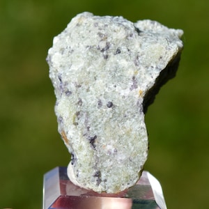 May include: A rough, irregular mineral specimen featuring a pale, light green crystalline base speckled with small, dark purple inclusions throughout its textured surface, mounted on a clear, faceted, rectangular acrylic display stand.