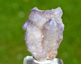 Cactus Amethyst 82 grams - Boekenhoutshoek area, Mkobola, Nkangala District, Mpumalanga, South Africa