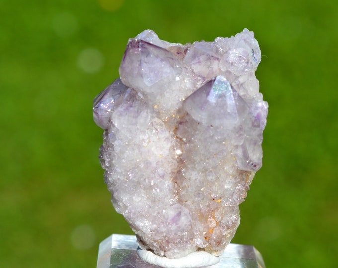 Cactus Amethyst 82 grams - Boekenhoutshoek area, Mkobola, Nkangala District, Mpumalanga, South Africa
