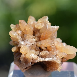 Könnte beinhalten: Ein Cluster aus kleinen, hellbraunen Kristallen mit einer rauen, strukturierten Oberfläche. Die Kristalle sind in einem zufälligen, organischen Muster zusammengefügt.