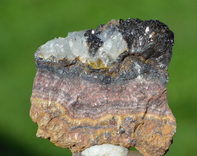 Goethite & Quartz 30 grams - Les Redoutières Mine, Chaillac Mines, Chaillac, Le Blanc, Indre, Centre-Val de Loire, France