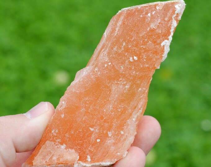 Halite & Sylvinite 274 grams - Wittelsheim, Mulhouse, Haut-Rhin, Alsace, France