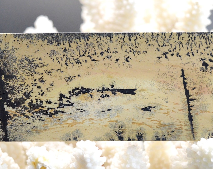 Polished Slice - Landscape Stone 137 mm - Guilin, Guangxi, China