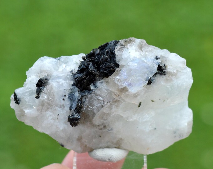 Albite var. Peristerite & Phlogopite 24 grams - Madagascar