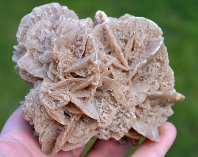 Gypsum var. Desert Rose 587 grams - Chott el Djerid, Tunisia