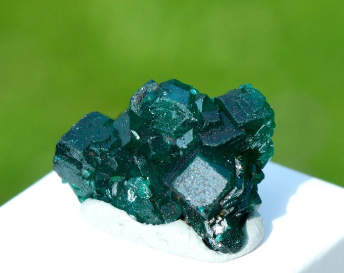 Dioptase 2.5 grams - Tantara Mine, Shinkolobwe, Kambove Territory, Haut-Katanga, DR Congo