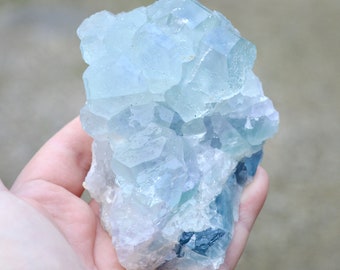 Fluorite and Quartz, Xia Yang Mine, Xia Yang City, Yongchun Co