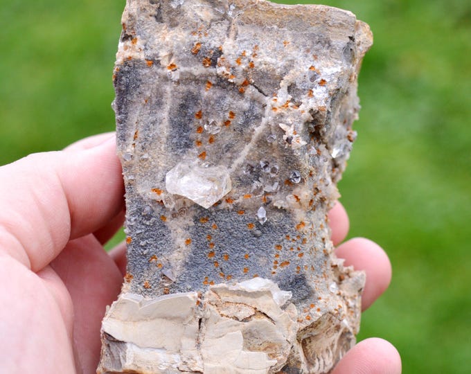 Septaria "diamond" quartz 539 grams - Saint Aubert ravine septaria occurrence, Ribiers, Gap, Hautes-Alpes, PACA, France
