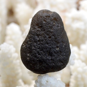 Agni Manitite tektite - 73 karat - Java, Indonesien