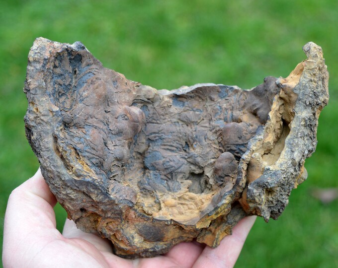 Goethite 940 grams - Le Ruchberg, Rimbach-près-Masevaux, Alsace, France