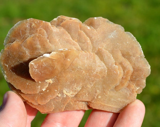 Gypsum var. Desert Rose 134 grams - Chott el Djerid, Tunisia