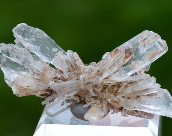 Gypsum 13 grams - Angervilliers quarry, Forges-les-Bains, Palaiseau, Essonne, Ile-de-France, France