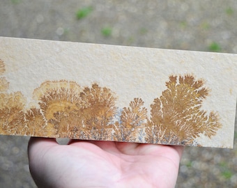 Slice - Sandstone dendrites 1000 grams 20cm - Solnhofen, Germany