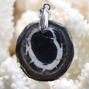 51 carat Septaria - natural stone cabochon pendant - Morocco / FX74