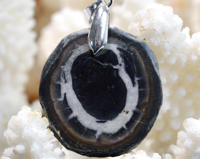 51 carat Septaria - natural stone cabochon pendant - Morocco / FX74