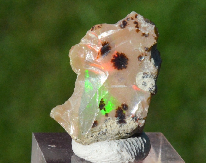 Raw opal - 7.1 carats - South Wollo Zone, Amhara Region, Ethiopia