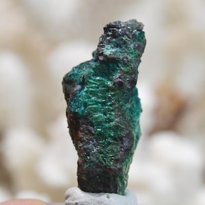 May include: A rough, dark green and black mineral specimen with a textured surface.