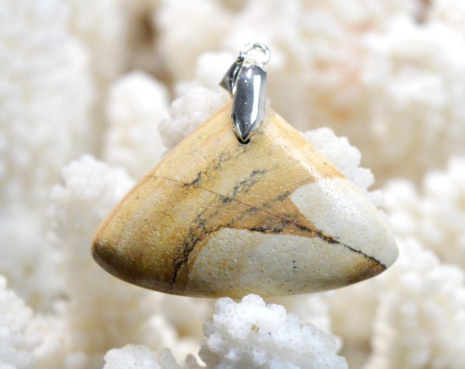 Landscape Jasper 43 carats - natural stone cabochon pendant - Namibia / FP61