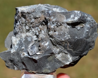 Diamond-shaped quartz on septarian nodule, 307 grams - Rémuzat, Nyons, Drôme, Auvergne-Rhône-Alpes, France