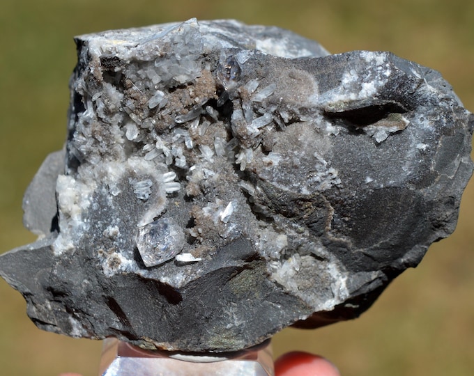 Diamond quartz on septaria 307 grams - Rémuzat, Nyons, Drôme, Auvergne-Rhône-Alpes, France