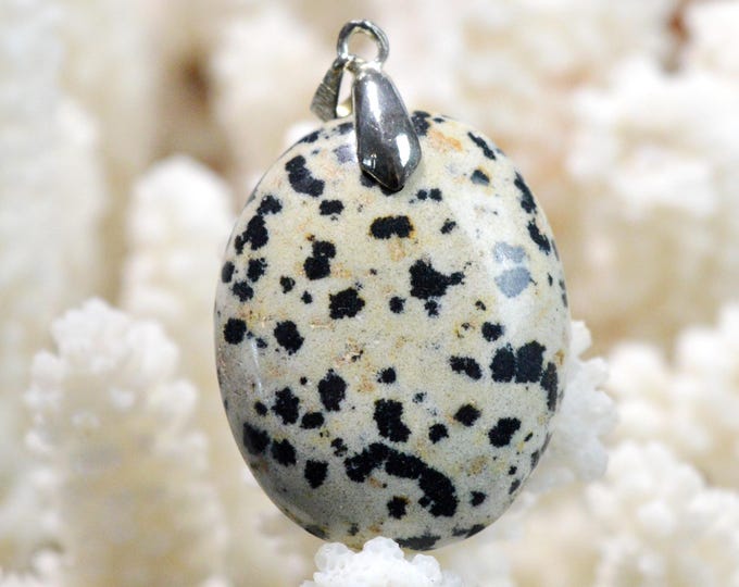 Jaspe dalmatien 50 carats - pendentif cabochon pierre naturelle - Mexique / FY54