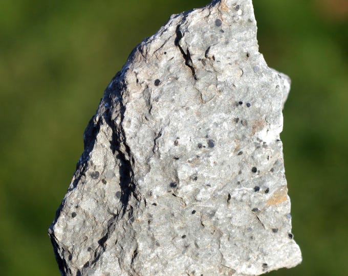 Ottrelite 59 grams - Ottré, Bihain, Vielsalm, Luxembourg, Wallonia, Belgium