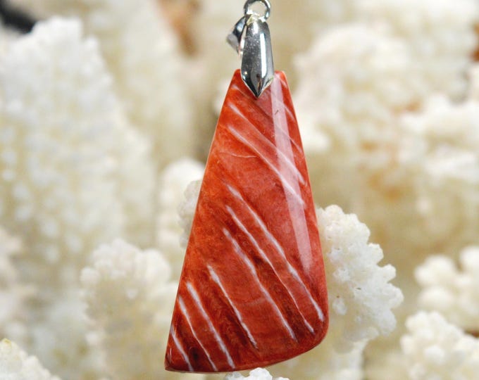 Spiny Oyster - Spondylus - 39 carats - natural shell cabochon pendant - Mexico / FR33
