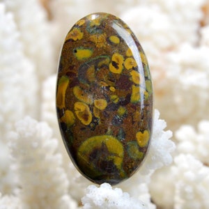 Jaspe " Bambou " 66 carats - cabochon pierre naturelle - Indonésie / EF19