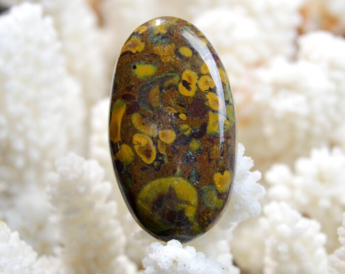 Jasper "Bamboo" 66 carats - natural stone cabochon - Indonesia / EF19