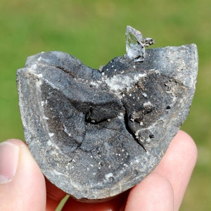 Op de afbeelding: Een close-up van een grijze, gefossiliseerde rots met een helder kwartskristal erop. De rots heeft een ruw, getextureerd oppervlak en is bedekt met kleine, witte kristallen.