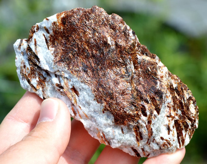 Astrophyllite 171 grams - Eveslogchorr Mt, Khibiny Massif, Kola Peninsula, Russia