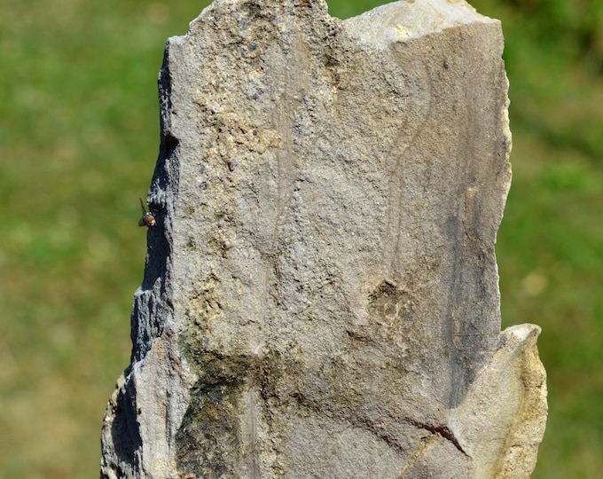 Pyroclastic flow 390 grams - Coustoune Stream, Cantal, France