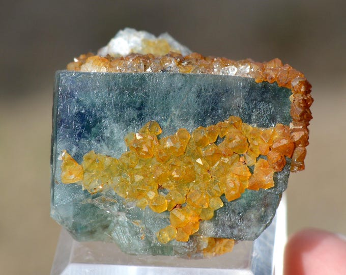 Fluorite 40 grams - El Hammam Mine, Ait Mimoune Caïdat, Khémisset, Morocco