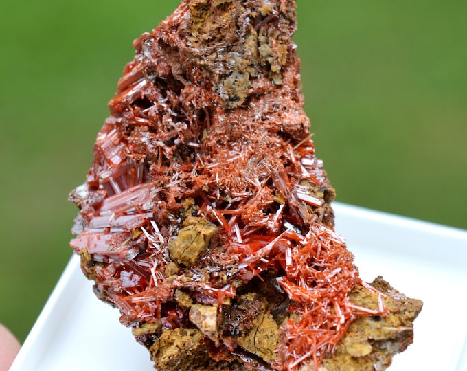 Crocoite 36 grams - Dundas mineral field, Zeehan District, West Coast municipality, Tasmania, Australia