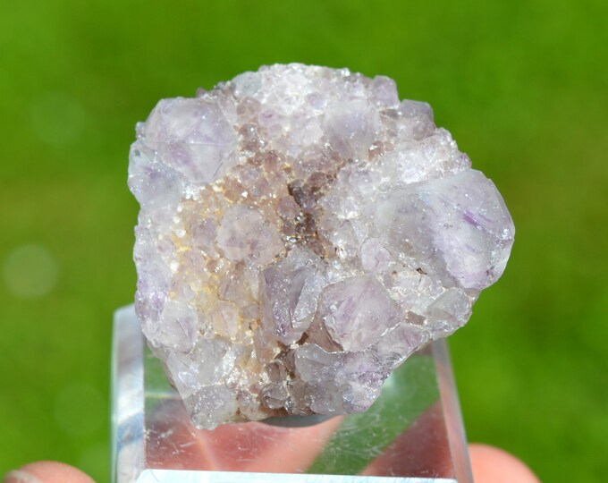 Cactus Amethyst 54 grams - Boekenhoutshoek area, Mkobola, Nkangala District, Mpumalanga, South Africa