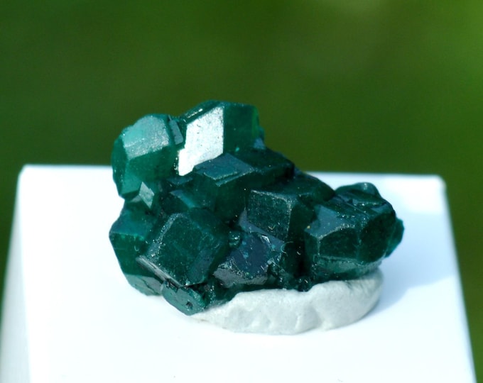 Dioptase 2.1 grams - Tantara Mine, Shinkolobwe, Kambove Territory, Haut-Katanga, DR Congo