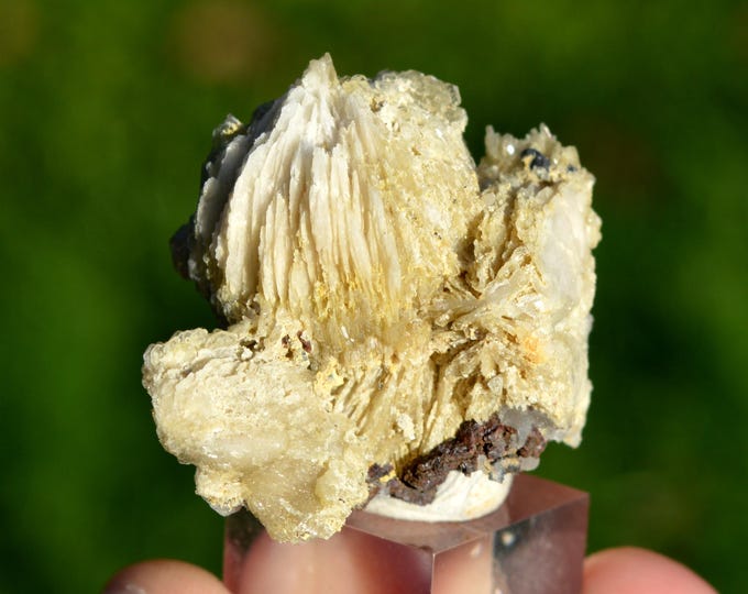 Baryte 56 grams - Le Buisson Mine, Montmirat, Saint-Étienne-du-Valdonnez, Mende, Lozère, Occitanie, France