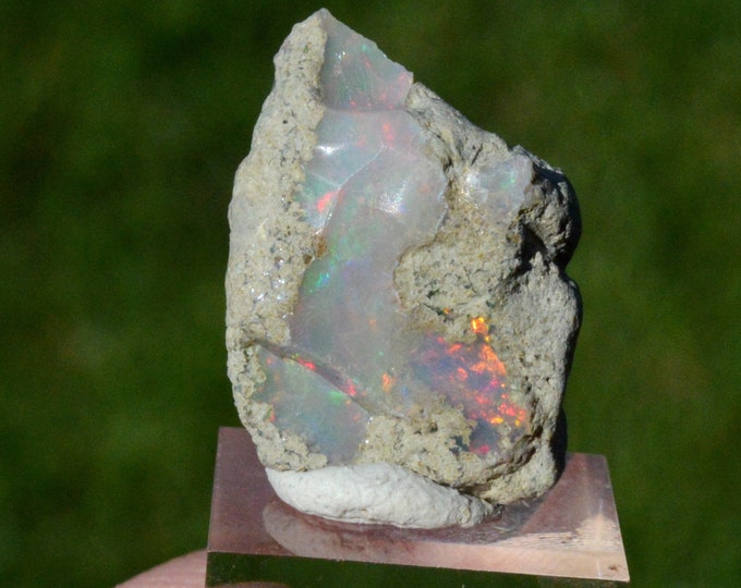 Raw opal - 13.5 carats - South Wollo Zone, Amhara Region, Ethiopia
