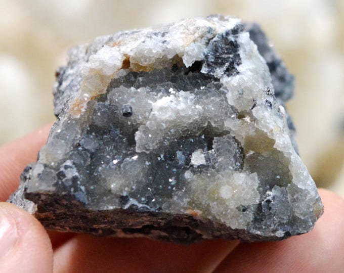 Galena & Chalcedony 76 grams - Le Buisson Mine, Montmirat, Saint-Étienne-du-Valdonnez, Mende, Lozère, Occitanie, France