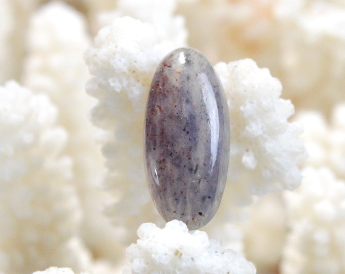 Cordiérite Iolite - 12.2 carats - cabochon pierre naturelle - Australie / ES10