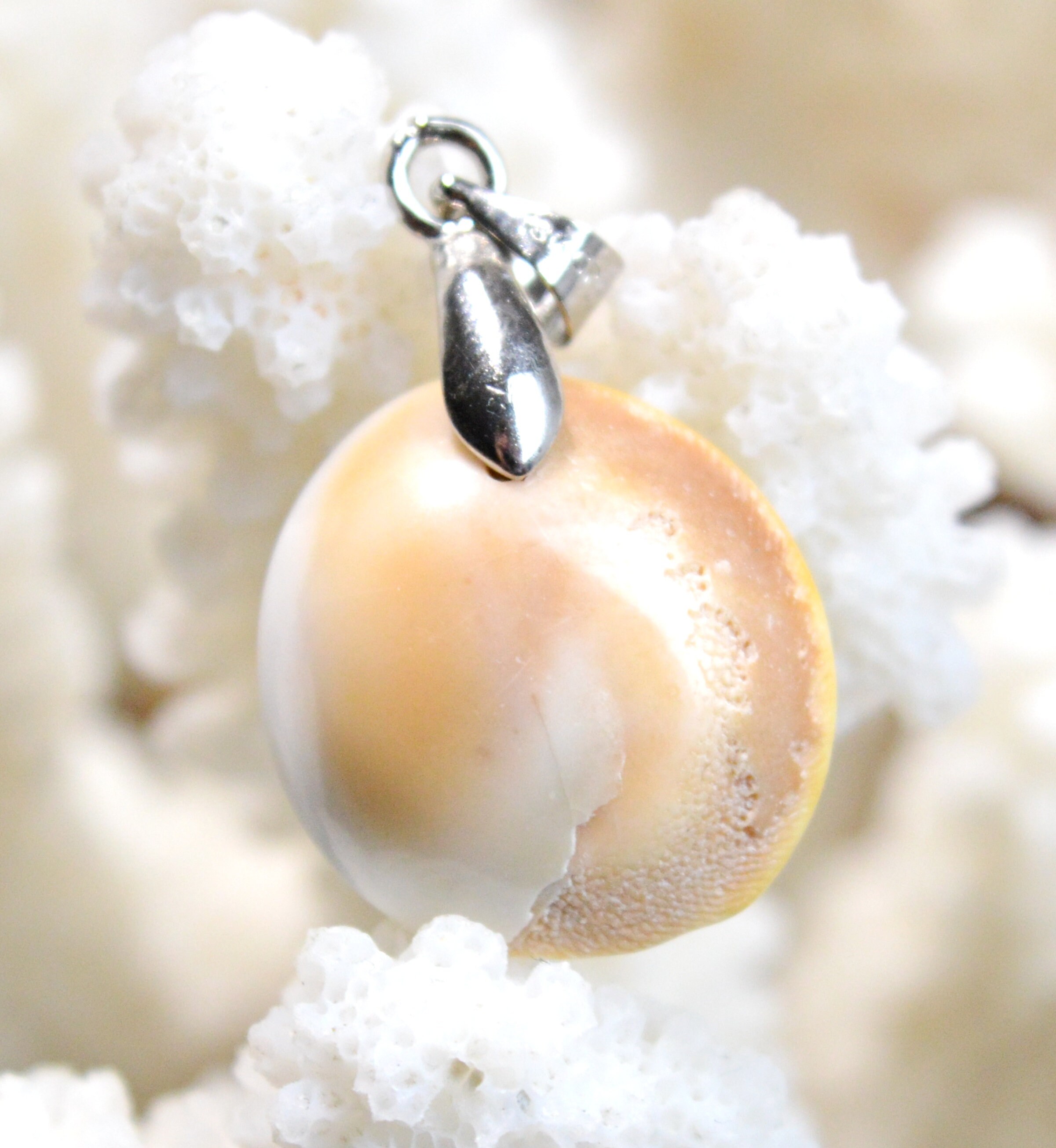 Corse et Oeil de Sainte Lucie serti clos argent