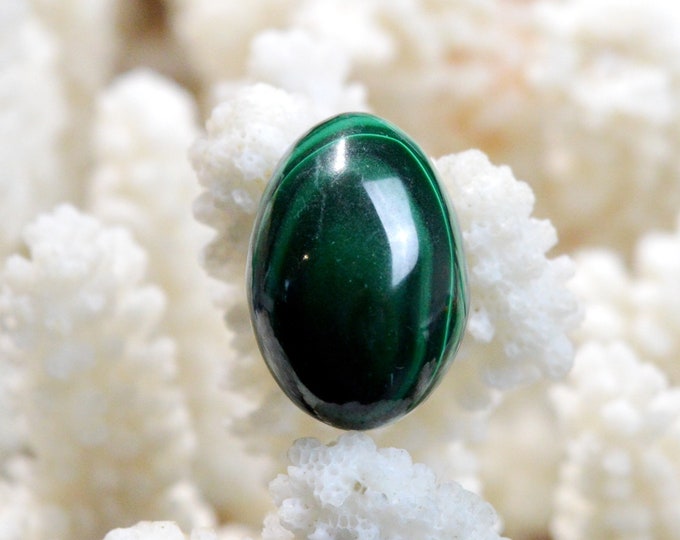 Egg - Malachite - 11 grams - Congo