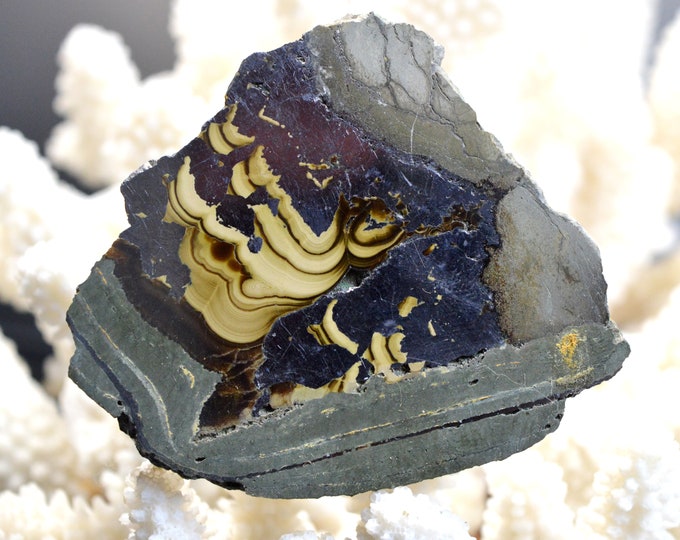 Slice - Marcasite galena sphalerite - 123 grams - Gmina Olkusz, Olkusz Co., Lesser Poland Voivodeship, Poland