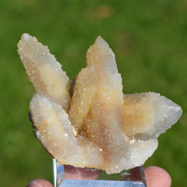 Amethyst cactus 101 grams - Boekenhoutshoek area, Mkobola, Nkangala District, Mpumalanga, South Africa