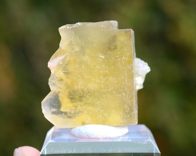 Fluorite & Quartz 38 grams - Aouli, Mibladen, Aït Oufella Caïdat, Midelt Cercle, Midelt Province, Drâa-Tafilalet Region, Morocco